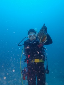 沖縄　ダイビング　慶良間　FUN