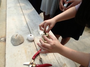 沖縄　ネイチャーワークス