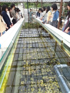 沖縄　ネイチャーワークス