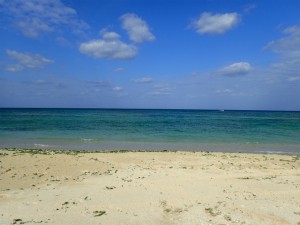 沖縄　ネイチャーワークス