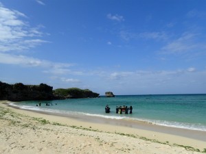 沖縄　ネイチャーワークス