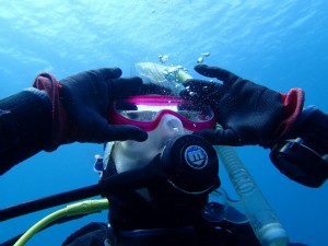 沖縄　ダイビング　ライセンス講習　OWD　砂辺