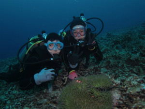 沖縄　体験ダイビング