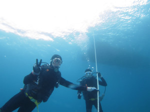 沖縄　体験ダイビング