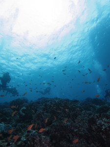 沖縄　ダイビング