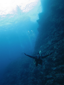 沖縄　ダイビング　けらま　