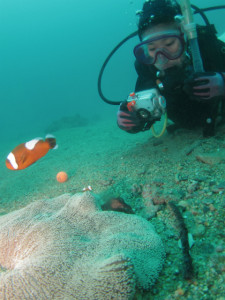 沖縄　ダイビング　近海