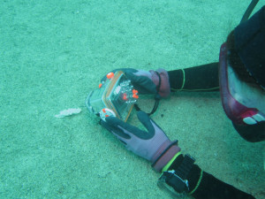 沖縄　ダイビング