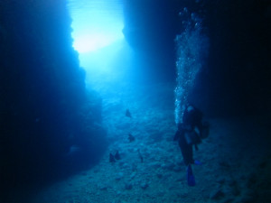 沖縄　体験ダイビング　青の洞窟