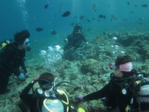 沖縄　体験ダイビング　