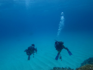 沖縄　ダイビング　万座