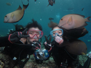 沖縄　体験ダイビング　青の洞窟