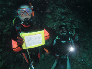 沖縄　ダイビング　200本記念