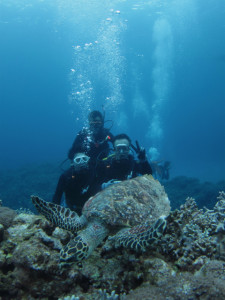 沖縄　体験ダイビング