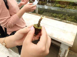 沖縄　ネイチャーワークス　さんご畑