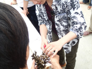 沖縄　ネイチャーワークス　さんご畑