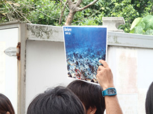 沖縄　ネイチャーワークス　さんご畑