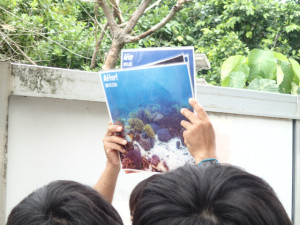 沖縄　ネイチャーワークス　さんご畑