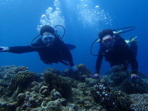 沖縄　ダイビング　慶良間　体験ダイビング