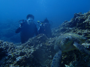 沖縄　ダイビング　慶良間　体験ダイビング