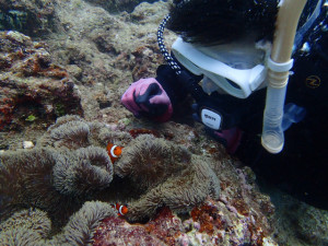 沖縄　ダイビング　砂辺　OWD講習