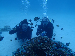 沖縄　ダイビング　慶良間　体験ダイビング