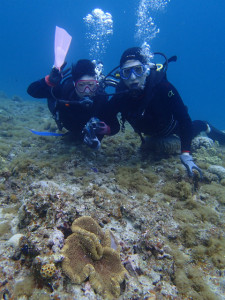 沖縄　ダイビング　慶良間　体験ダイビング