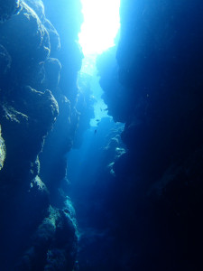 沖縄　ダイビング　慶良間　体験ダイビング