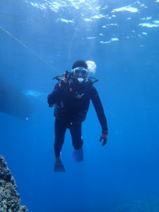 沖縄　ダイビング　渡名喜島　体験ダイビング