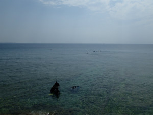 沖縄　ダイビング　砂辺　保全活動