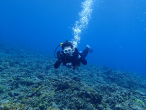 沖縄　体験ダイビング