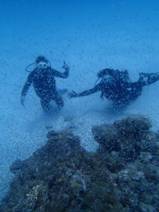 沖縄　ダイビング　慶良間　体験ダイビング