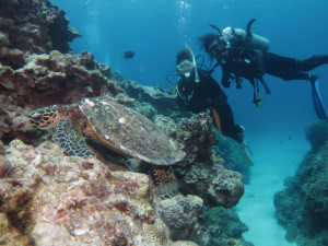 沖縄　ダイビング　慶良間　体験ダイビング　ＦＵＮダイビング