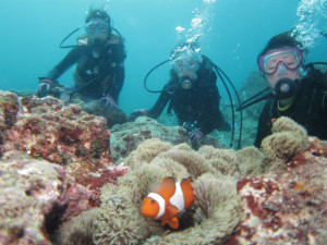 沖縄　体験ダイビング