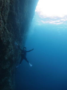 沖縄　ダイビング　慶良間　体験ダイビング