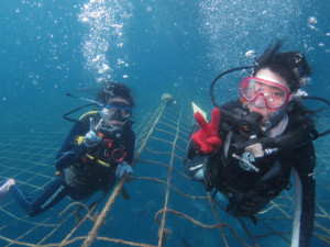 沖縄　体験ダイビング
