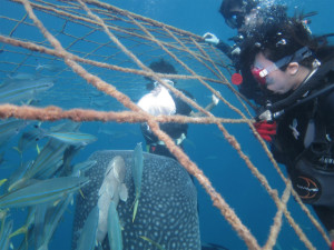 沖縄　体験ダイビング