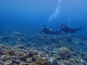 沖縄　ダイビング　慶良間　体験ダイビング