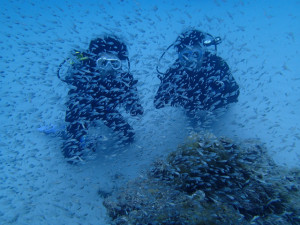 沖縄　ダイビング　慶良間　体験ダイビング