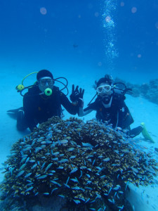 沖縄　ダイビング　慶良間　体験ダイビング