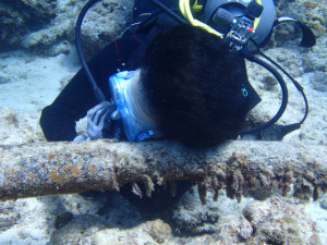 沖縄　ダイビング　慶良間　体験ダイビング