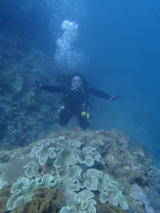 沖縄　ダイビング　砂辺　体験ダイビング