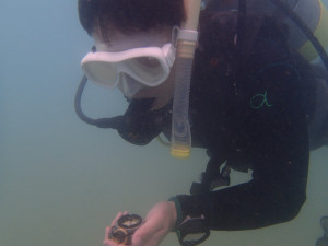 沖縄　ダイビング　OWD講習