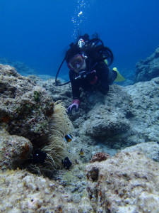 沖縄　ダイビング　慶良間　体験ダイビング