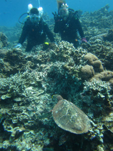 沖縄　体験ダイビング