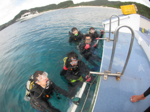 沖縄　ダイビング　体験ダイビング　FUNダイビング　アルファダイブ沖縄