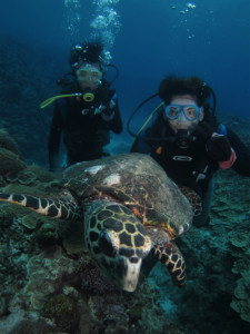 沖縄　ダイビング　慶良間　体験ダイビング