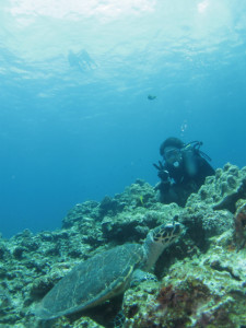 沖縄　ダイビング　慶良間　体験ダイビング