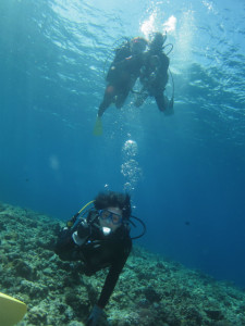 沖縄　ダイビング　慶良間　体験ダイビング