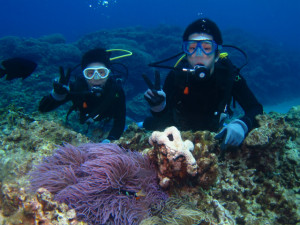 沖縄　ダイビング　慶良間　体験ダイビング